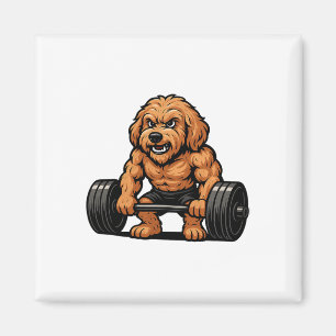 Íman Levantamento de Peso Goldendoodle Fisiculturista T