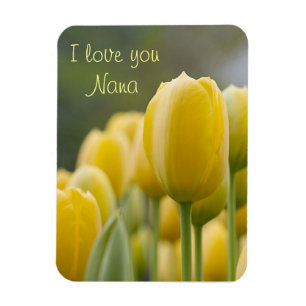 Íman Levante-se a tulipa