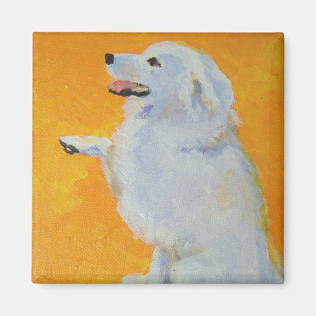 Íman Levine's Bailey (Frente)