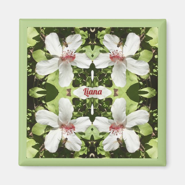 Íman LIANA ~ PÁSCOA ~ Flores de Hibisco Brancas ~ (Frente)