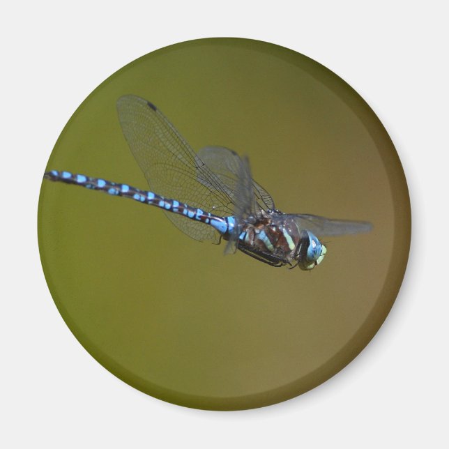 Íman libélula (Frente)