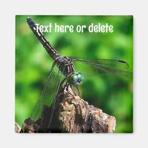 Íman Libélula Nature Personalizado