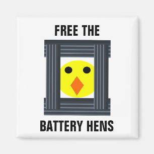 Íman Liberte O Magnete Da Bateria