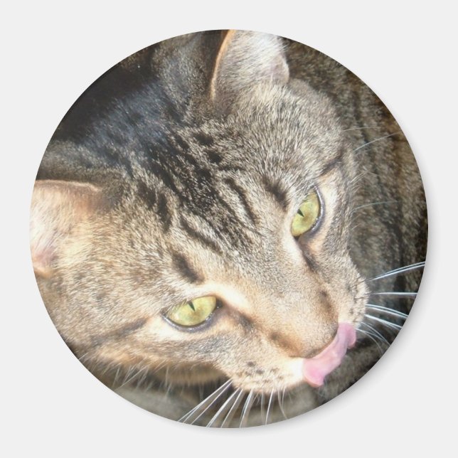 Íman Licky Paws (Frente)