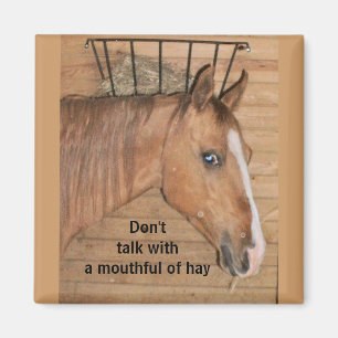 Íman Lições da mãe - ímã