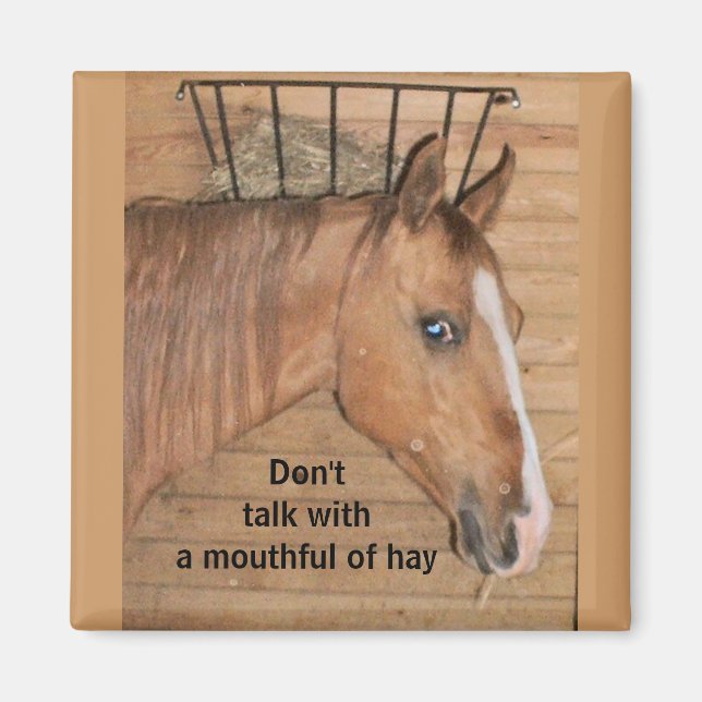 Íman Lições da mãe - ímã (Frente)