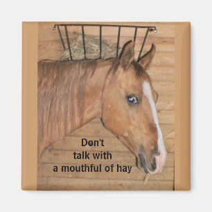 Íman Lições da mamã - ímã