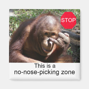 Íman Lições sobre a vida animal #1