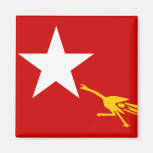 Íman Liga nacional para a democracia, bandeira de