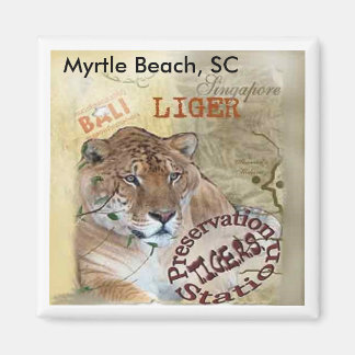 Íman Liger Magnet - Myrtle Beach, SC