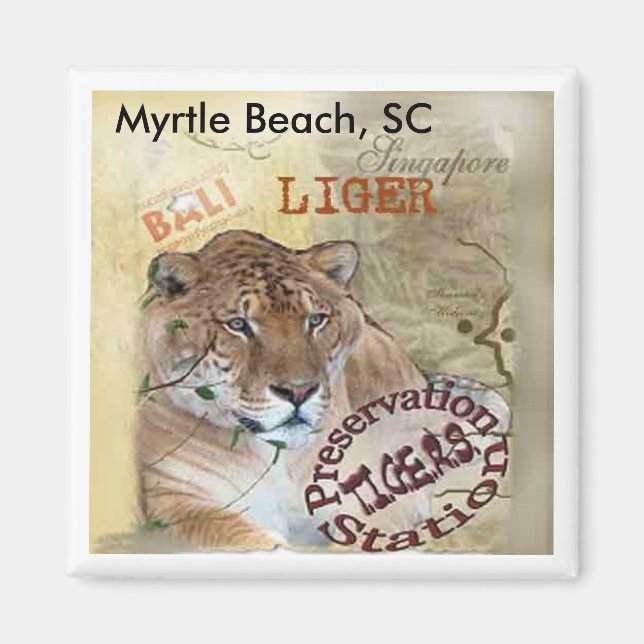 Íman Liger Magnet - Myrtle Beach, SC (Frente)