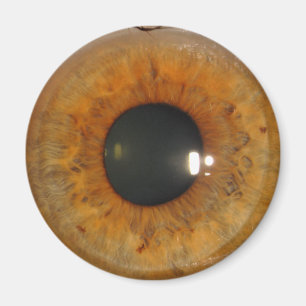 Íman Light brown eye