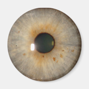 Íman light hazel eye