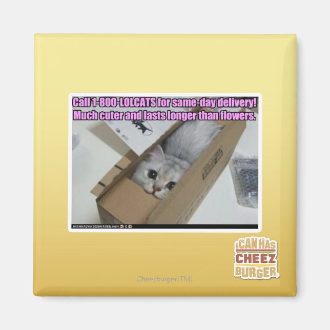 Íman Ligue para 1-800-LOLCATS (Frente)