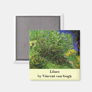 Íman Lilacs por Vincent van Gogh, Flores de Jardim Vint