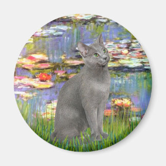 Íman Lilies 2 - gato Azul Russo