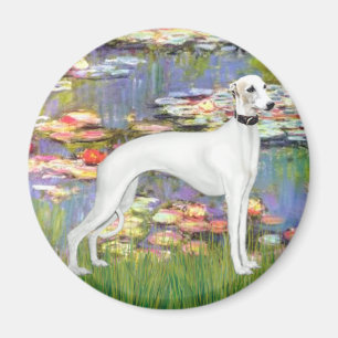 Íman Lilies 2 - White Whippet (11b)