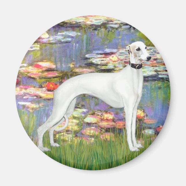 Íman Lilies 2 - White Whippet (11b) (Frente)