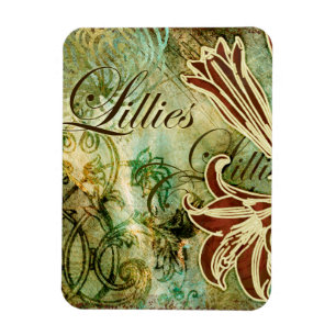 Íman Lillies
