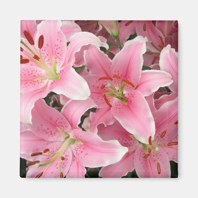 Íman Lillies Magnet Rosa (Frente)