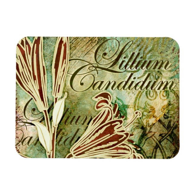 Íman Lillium Candidum (Horizontal)