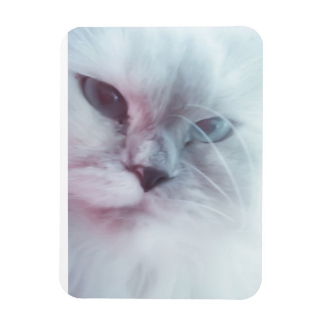 Íman Lilly (Vertical)