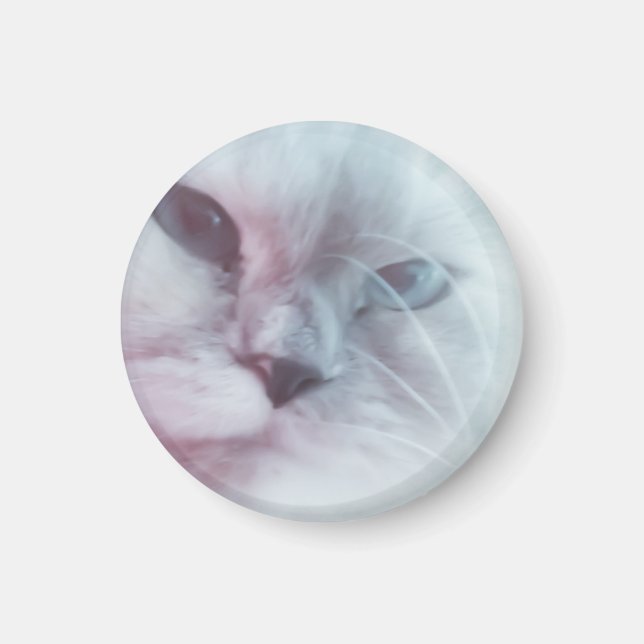 Íman Lilly (Frente)