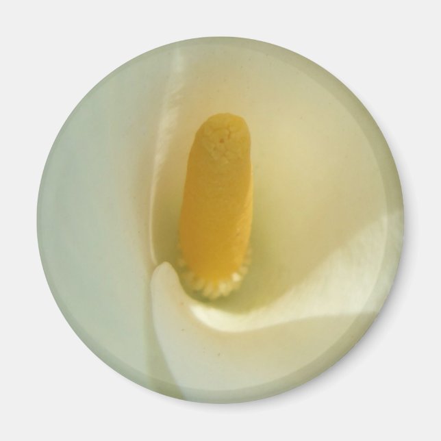 Íman Lilly Center Magnet (Frente)