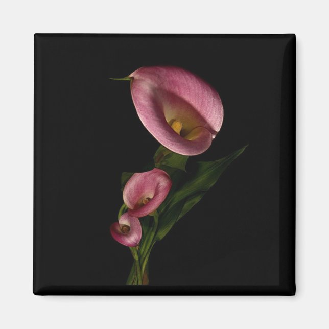 Íman Lilly Magnet (Frente)