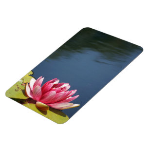 Íman Lilly Pond Flowers