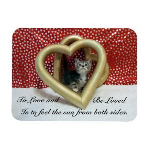 Íman Lilo'The Cat's Loving Hearts Magnet