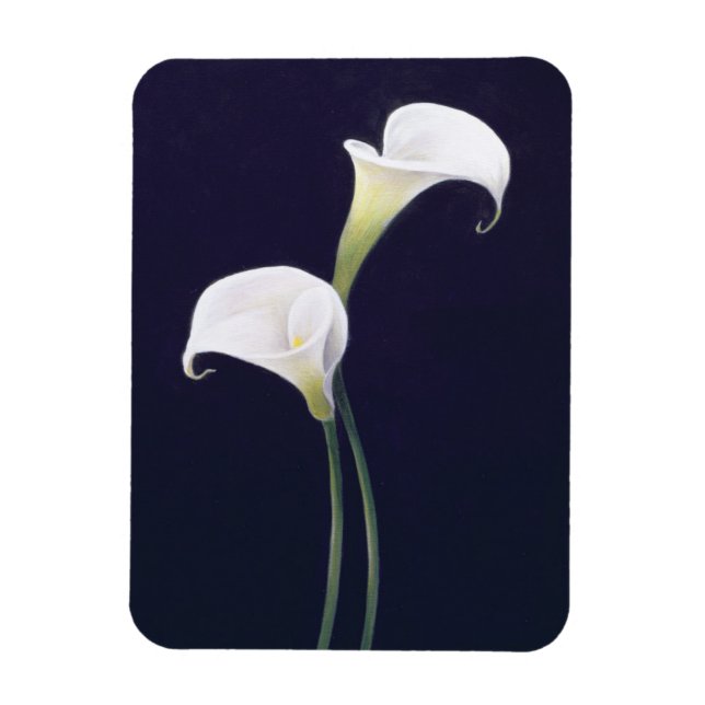 Íman Lily (Vertical)