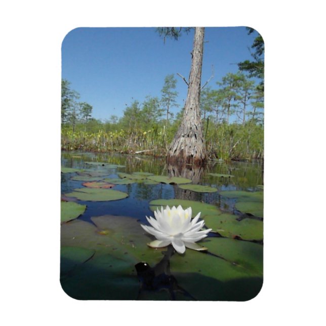 Íman Lily 2 (Vertical)