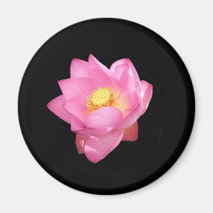 Íman Lily Magnet
