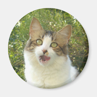 Íman Lily Magnet 001