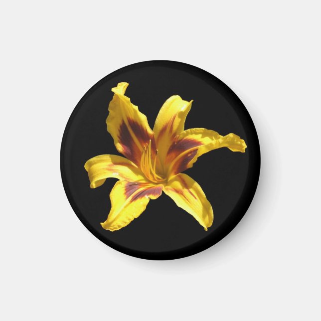 Íman Lily Magneta Amarela (Frente)