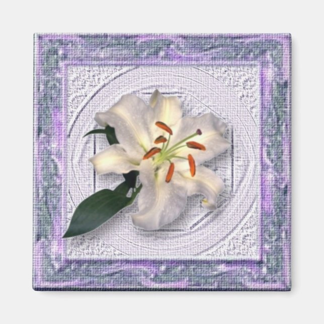 Íman Lily no quadro de Canvas (Frente)