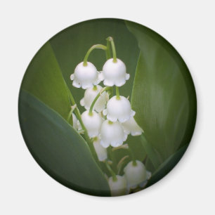 Íman Lily-Of-The_Valley
