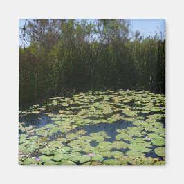 Íman Lily Outback Pads Magnet