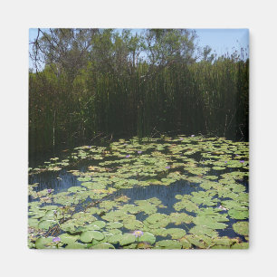 Íman Lily Outback Pads Magnet