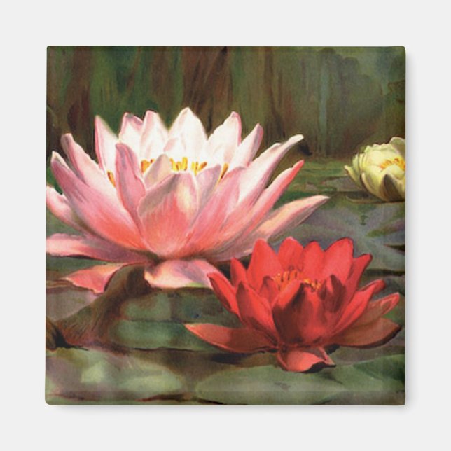 Íman Lily Pads - Magnet (Frente)