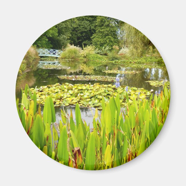 Íman Lily Pond Magnet (Frente)