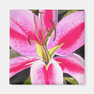 Íman Lily rosa-clara Lily Tenerife, magro para flores