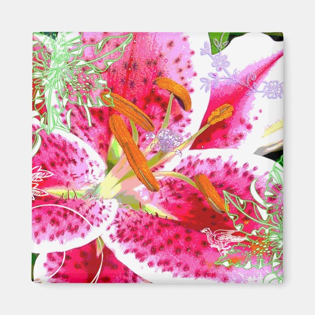Íman Lily Stargazer Fantasy, Magnet (Frente)