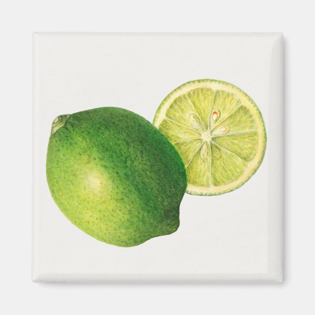 Íman limão (Frente)