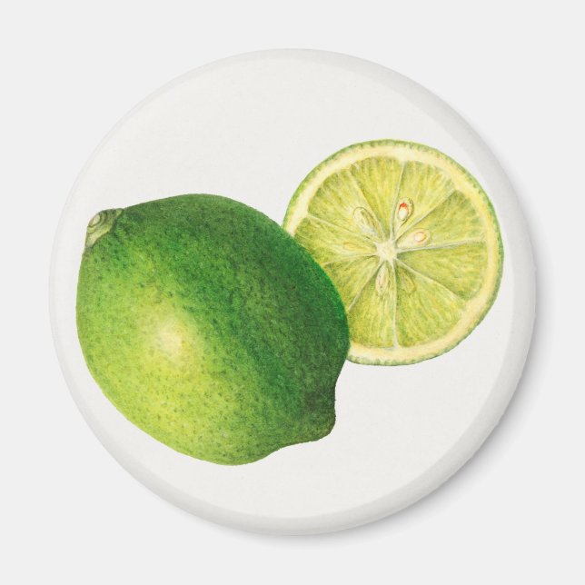 Íman limão (Frente)