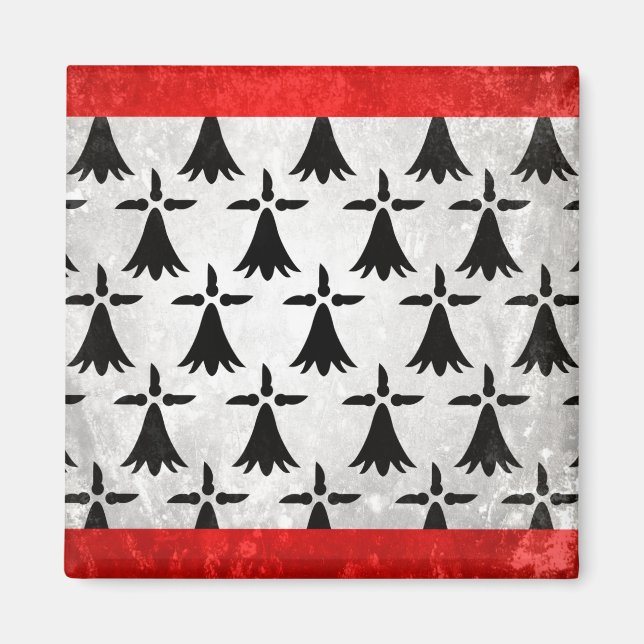 Íman Limousin (Frente)