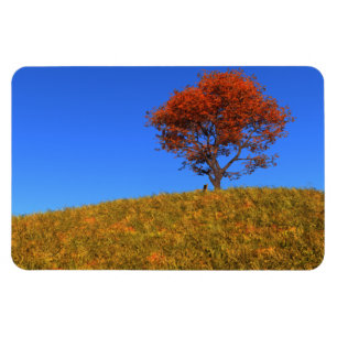 Íman Limpar o ímã flexível do dia do outono