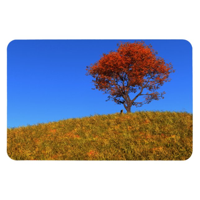 Íman Limpar o ímã flexível do dia do outono (Horizontal)