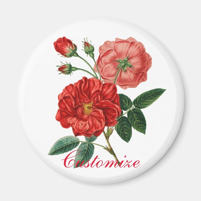 Íman Limpeza de Rosa vermelha de Vintage Thunder_Cove (Frente)
